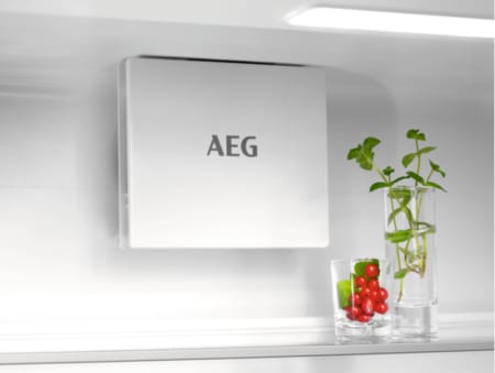 AEG TSC7G181ES koel-vriescombinatie Ingebouwd 216 l G Wit - Afbeelding 6