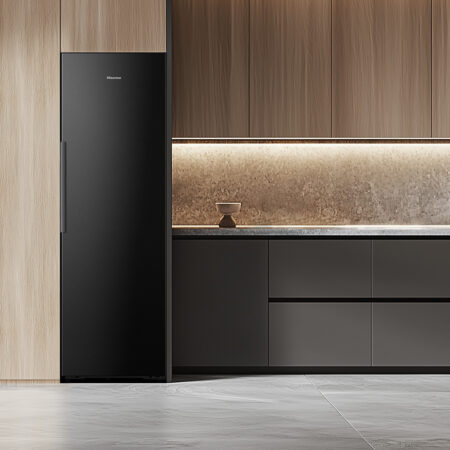 Hisense FT5K310GSFC diepvriezer Vrieskast Vrijstaand 312 l C - Afbeelding 3