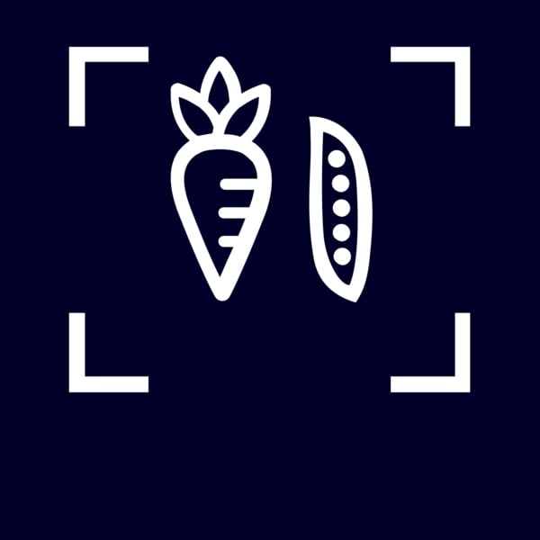 Siemens iQ500 KI31RADD1 diepvriezer Vrieskast Ingebouwd 165 l D Wit - Afbeelding 4