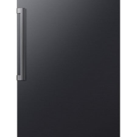 Samsung RR70H39CEFEO koelkast Vrijstaand 387 l Grafiet