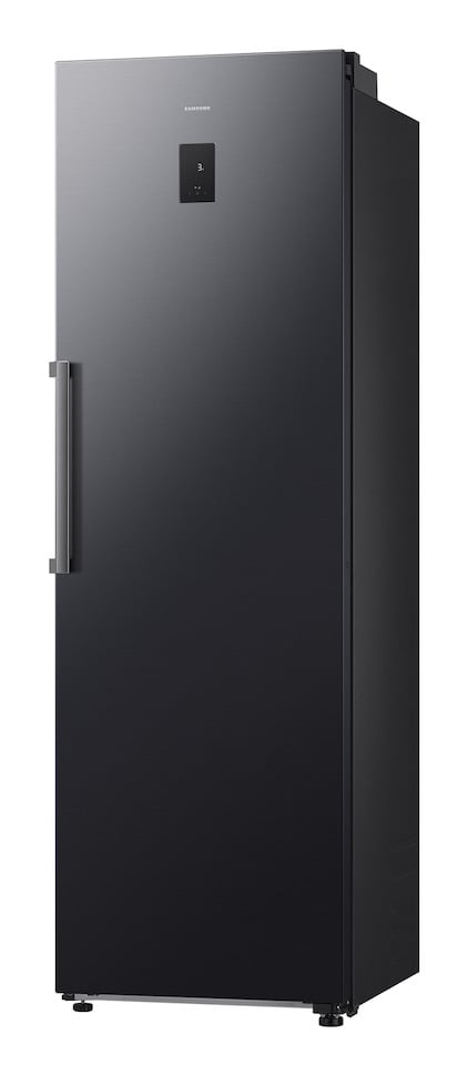 Samsung RR70H39CEFEO koelkast Vrijstaand 387 l Grafiet - Afbeelding 3